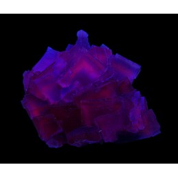 Fluorite Berbes - Fluorescent  M03729